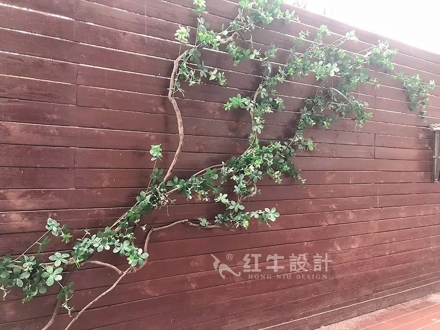 南京后宰門(mén)街75㎡北歐風(fēng)格--美翻了的家庭小院07院子設(shè)計(jì)