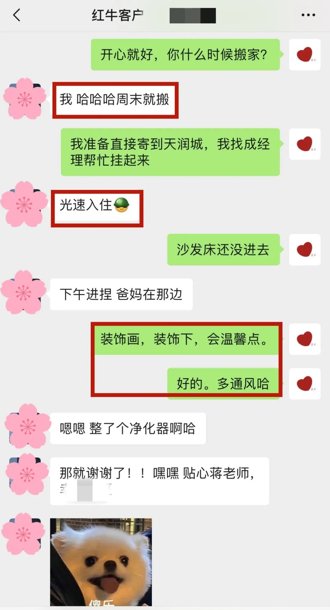 喜報(bào)｜金秋十月，收獲滿滿，紅牛裝飾再獲三面錦旗！05